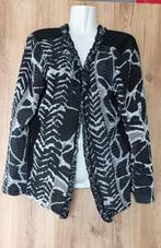 roberto sarto vest maat L, Zwart, Maat 42/44 (L), Ophalen of Verzenden, Gedragen