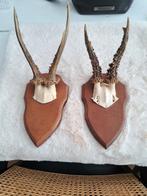 2 geweitjes te koop, Ophalen of Verzenden