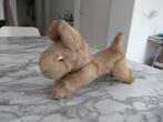 antiek pluche hondje, Ophalen of Verzenden