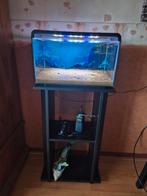Superfish home 30, Dieren en Toebehoren, Ophalen, Zo goed als nieuw, Leeg aquarium