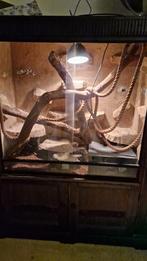 Terrarium te koop met toebehoren (Alkmaar), Ophalen, Gebruikt