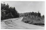 Eersel Natuurreservaat Ongelopen Ansichtkaart ( B6990 ), Ophalen of Verzenden, 1960 tot 1980, Ongelopen