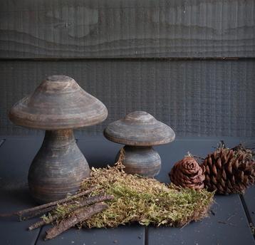 Set paddenstoelen bruingrijs. beschikbaar voor biedingen