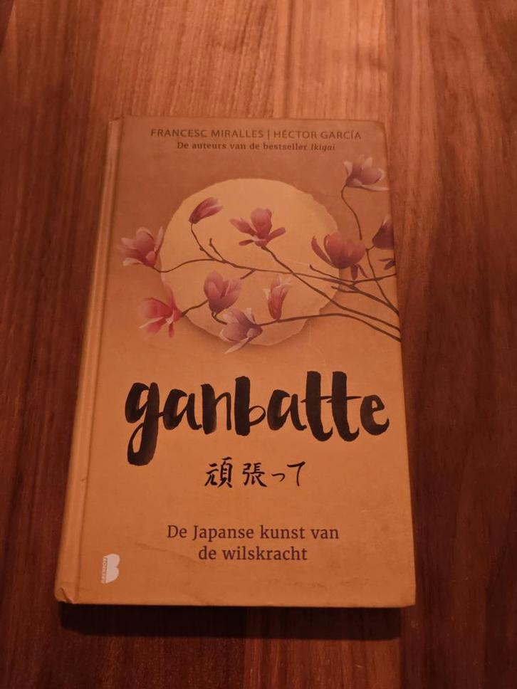 Ganbatte - De Japanse kunst van wilskracht, Boeken, Psychologie, Gelezen, Overige onderwerpen, Ophalen of Verzenden