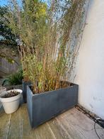 bamboe met polybeton bloembak op wieltjes, Ophalen of Verzenden, Rond, Hout