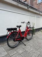 AZOR - PKW PREMIUM (Moederfiets-hondenfiets) (demo model), Ophalen of Verzenden, Nieuw, Overige merken, Versnellingen