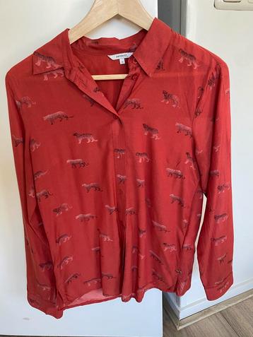 Oranje Sandwich blouse met tijgerprint, maat 36 beschikbaar voor biedingen