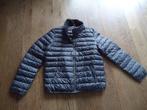 Grijs Hilfiger gewatteerd jack, panterprint maat XL, Kleding | Dames, Maat 46/48 (XL) of groter, Ophalen of Verzenden, Zo goed als nieuw