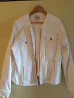 Wit Spijker Dames Jack, Ophalen of Verzenden, Zo goed als nieuw, Maat 46/48 (XL) of groter, Wit