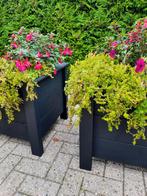 Bloembakken per 2 voor 80 euro, Ophalen, Nieuw, Rechthoekig, Hout