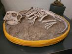 Psittacosaurus (dinosaurus) in matrix, Verzamelen, Mineralen en Fossielen, Ophalen of Verzenden, Fossiel