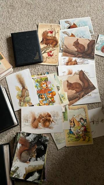 Honderden postkaarten met eekhoorns beschikbaar voor biedingen