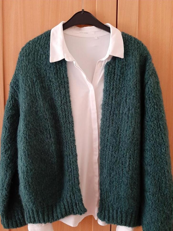 Anna van Toor prachtig groen vest  maat L 42/44, Kleding | Dames, Truien en Vesten, Zo goed als nieuw, Maat 42/44 (L), Groen, Verzenden