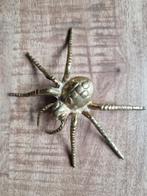 spin metaal, Ophalen of Verzenden