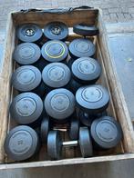 Technogym dumbells 20-34 kg dumbell set gewichten, Ophalen, Dumbbell, Dumbells, 20-34 kg