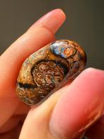 Nieuw: prachtige boulder opaal uit Koroit: Australië, Verzamelen, Mineralen en Fossielen, Ophalen of Verzenden, Mineraal