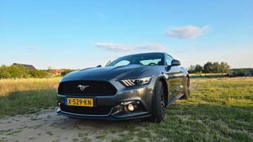 Ford Mustang 2.3 Ecoboost Fastback 2017 Grijs beschikbaar voor biedingen