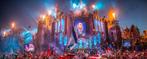 Gezocht: 1x Zondag Tomorrowland weekend 1 - Sunday 20 juli, Tickets en Kaartjes, Evenementen en Festivals, Eén persoon