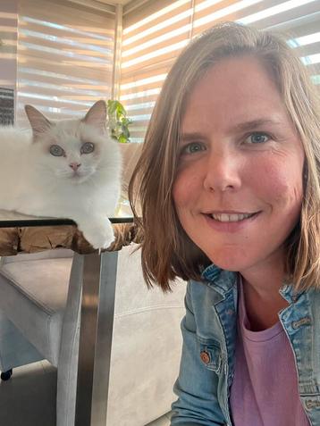 Kattenoppas aangeboden omg. Lansingerland, Berkel, Rotterdam beschikbaar voor biedingen