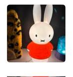 Nijntje lamp 30 cm, Ophalen of Verzenden, Zo goed als nieuw, Lamp