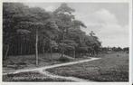 Pa1249 oude gelopen ansichtkaart apeldoorn sprengenbosch, Ophalen of Verzenden, Voor 1920, Gelopen, Gelderland