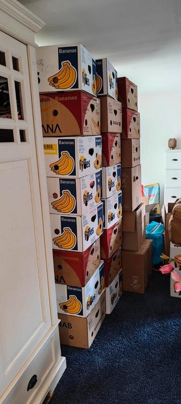 Gratis bananen dozen  beschikbaar voor biedingen