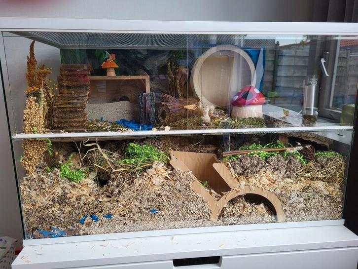 Hamsterverblijf 80x40x50, Dieren en Toebehoren, Knaagdieren en Konijnen | Hokken en Kooien, Zo goed als nieuw, Hok, Minder dan 60 cm
