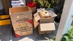 Verhuisdozen: bananandozen en andere kartonnen dozen, Doe-het-zelf en Verbouw, Kratten en Dozen, Ophalen, Gebruikt, Doos