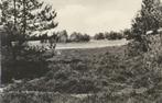 Lattrop - Bergvennen [KRST005-6907, Verzenden, 1960 tot 1980, Gelopen, Overijssel