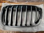 BMW orginele  nieren X1 F48, Gebruikt, Voor, Ophalen of Verzenden, BMW