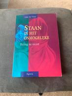 Jonas de Vries - Staan in het onmogelijke, Ophalen of Verzenden, Zo goed als nieuw, Jonas de Vries