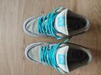 Nike Dunk SB big money savings EU45, Ophalen of Verzenden, Zo goed als nieuw