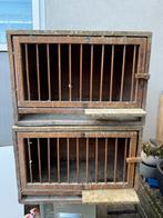 duivenkooi, Meerdere dieren, Postduif