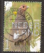 Nederland Nr 3829 gebruikt., Ophalen of Verzenden, Na 1940, Gestempeld
