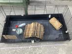 Cavia kooi met toebehoren, Kooi, Cavia, Ophalen, Minder dan 60 cm