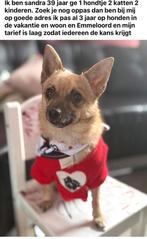 Honden benodigdheden, Dieren en Toebehoren, Ophalen, Zo goed als nieuw