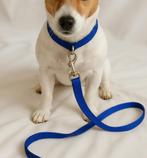 Blue Leash with Carabiner – 120 cm | Very Good Condition, Dieren en Toebehoren, Ophalen of Verzenden, Zo goed als nieuw, Hondenriem