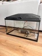 Aquarium 60L, Dieren en Toebehoren, Vissen | Aquaria en Toebehoren, Ophalen, Gebruikt, Verlichting of Verwarming