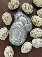 Ei - zersterke – vorm (2), Antiek en Kunst, Ophalen of Verzenden