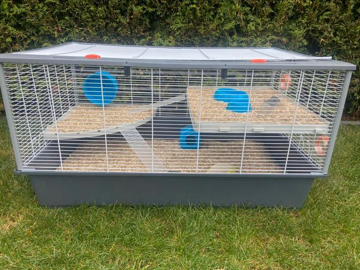 Gloednieuwe Ferplast kooi, Dieren en Toebehoren, Knaagdieren en Konijnen | Hokken en Kooien, Nieuw, Kooi, Minder dan 60 cm, 75 tot 110 cm