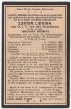 zr. Theodora Hermens 1865 Escharen + 1932 Velp bij Grave, Verzenden