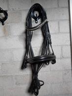 Graziozo stang&trens hoofdstel,  zwart, full, Ophalen of Verzenden, Nieuw, Dressuur