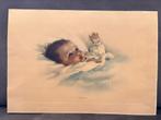 Litho Awakening - Bessie Pease Gutmann, Ophalen of Verzenden