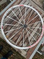 Fulcrum Wiel - Racefiets, Ophalen of Verzenden, Gebruikt, Racefiets, Wiel