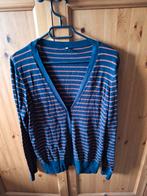 Hema vest streepjes blauw en roestbruin XL Nieuw, Blauw, Maat 42/44 (L), Nieuw, Ophalen of Verzenden