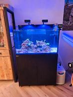 Red Sea Nano max XXL G2 met nog garantie, Dieren en Toebehoren, Ophalen, Zo goed als nieuw, Leeg aquarium