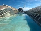 Gezocht: startbewijs hele marathon Valencia 2025, Tickets en Kaartjes, Overige Tickets en Kaartjes, Eén persoon