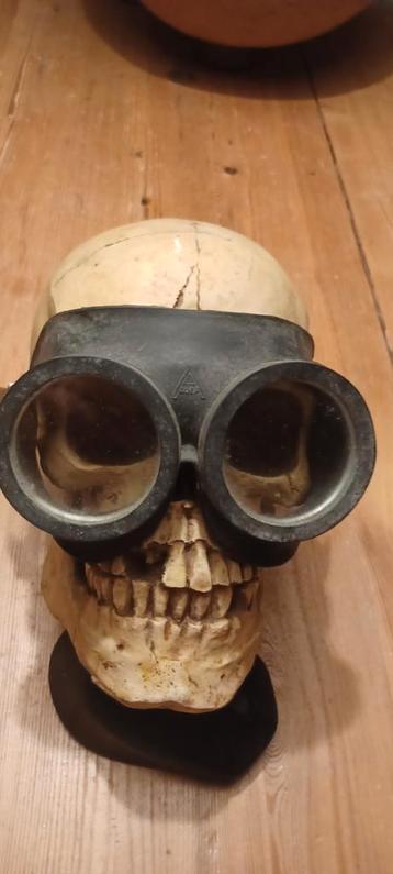 Epoxy skull met duikbril beschikbaar voor biedingen