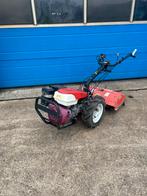 Goldoni Twist 12S tuinfrees, Ophalen, Gebruikt, Goldoni, C