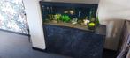 Eheim aquarium compleet, Dieren en Toebehoren, Vissen | Aquaria en Toebehoren, Ophalen, Gebruikt, Gevuld zoetwateraquarium